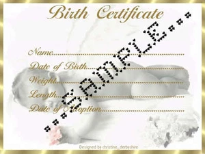 GOLD FRAMED BIRTH CERTIFICATE/CERTIFICATES 4 REBORN FAKE BABY approx 7"x 5" (2) - Picture 1 of 1