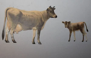 Antique Tin DeLaval Advertising Jersey Cow and Calf Tin Lithograph Cut Outs - Picture 1 of 5
