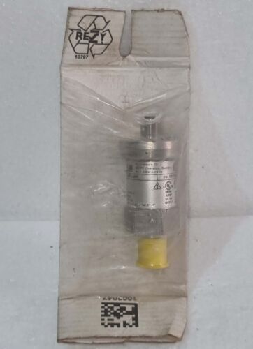 BD SENSORS DX19-DMP 343 100-S250-E-3-M10-300-1-000