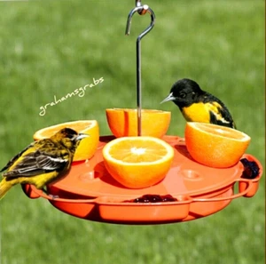 ULTIMATE ORIOLE FEEDER SE905 BEST ORIOLE BIRD FEEDER NECTAR, FRUT & JELLY - Picture 1 of 3