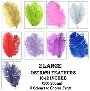 PACK OF 2 LARGE OSTRICH FEATHERS 10-12" 9 COLOURS- MULTIBUY DISCOUNT AVAILABLE - Picture 1 of 10