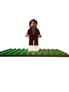 Bruce Banner (sh408) 76104 76084 Avengers Thor Ragnarok LEGO® Minifigur Figur - Bild 1 von 6