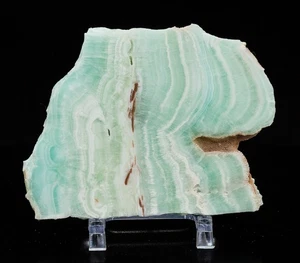 Caribbean Calcite Slab Blue Aragonite Slice from Pakistan 4.25” 6.45oz H2362 - Picture 1 of 12