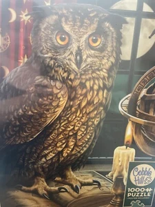 NEW OWL Cobble Hill Lisa Parker The Astrologer 1000 pc Puzzle Sealed - Picture 1 of 4