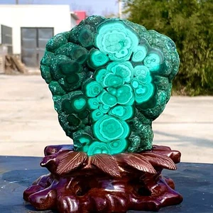 2.64LB Natural glossy Malachite transparent cluster rough mineral sample - Picture 1 of 23
