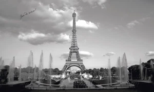 MURAL DE PAPEL TAPIZ PREPEGADO TORRE EIFFEL Decoración de Pared de París 10,5' x 6' NUEVO - Imagen 1 de 2