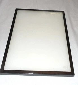 Durchsichtig Deckel Polsterung Vitrine Etui Stifte Schmuck Messer Insekten 16"x12" - Bild 1 von 4