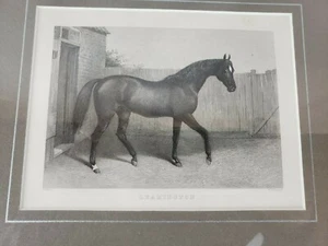 Grabado de caballo original de William H. DOUGAL (1822-1895), enmarcado - Imagen 1 de 11
