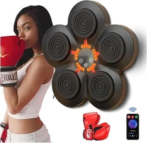 Wall Punch Boxing Training Target Music Combat Trainer Fighting Pad Sports Home - Picture 1 of 12