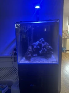 Marine Tank 75l - Picture 1 of 6