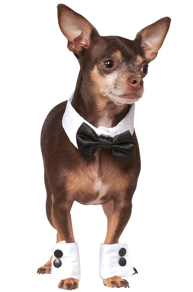 Brand New Wedding Tuxedo Bowtie and Cuffs Pet Dog Cat Accessory Set - Image 1 of 1