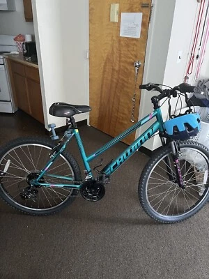 Schwinn Frontier 银色 — 第 1/4 张图片