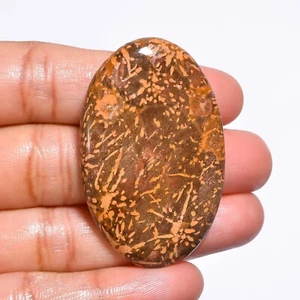 Natural Starburst Jasper Loose Gemstone Oval Cabochon 56.00 Cts 46X30X6 mm - Picture 1 of 6