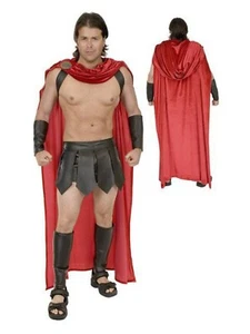 Charades Spartan Warrior Costume XL *missing shoulder harness & arm guards* - Picture 1 of 1