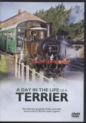 A Day in the Life of a Terrier - Eccentr DVD Incredible Value and Free Shipping! - Image 1 of 2