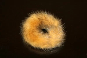 Neu Senfgelb Fell Scrunchie Scrunchy Efurs4less - Bild 1 von 1