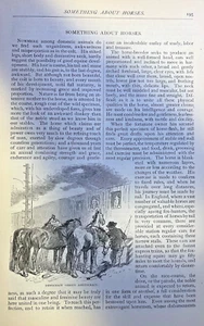 1877 Horses and Horse Riding illustrated - Picture 1 of 4