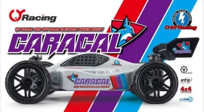 MING YANG Caracal 1/8 4WD Off-Road Electric Buggy RTR - Image 1 of 4