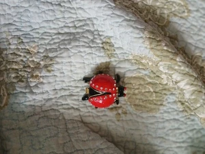 PEQUEÑA CAJA DE PASTILLAS BARATIJA CON BISAGRAS DE METAL LADYBUG VINTAGE - Imagen 1 de 3