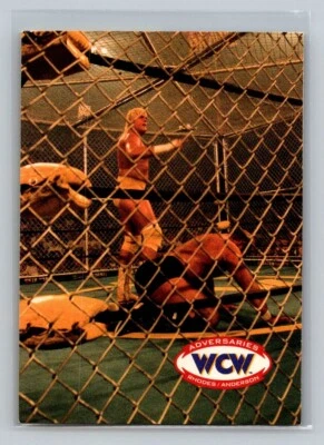 Dustin/Arn (Cage Match) #71 1995 Cardz WCW Main Event - Image 1 of 2