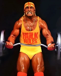 9x12 Hulk Hogan WWE Poster Hulk Rules Heavy Lifting - Picture 1 of 1