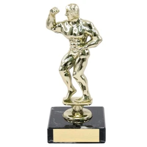 Body Building Trophies Adonis Gold Muscle Figure Award 2 Sizes FREE Engraving - Picture 1 of 1
