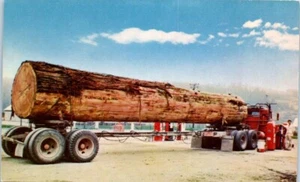 Tonnen von Zahnstochern Holzfäller LKW - Postkarte - Bild 1 von 2