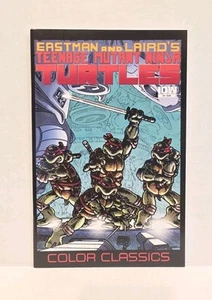 Teenage Mutant Ninja Turtles Color Classics #4 (IDW Publishing September 2012) - Picture 1 of 3