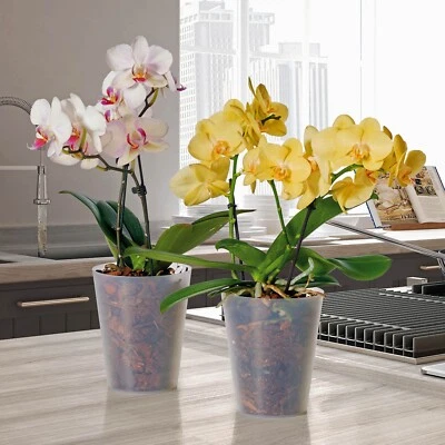 Euro3Plast Clivo Orchideentopf 12,5 cm rund durchsichtig transparent Blumentopf - Bild 1 von 4