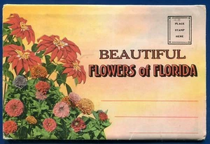Florida Flowers fl Poinciana Flame vine Zinnias azaleas postcard folder #3 - Picture 1 of 2