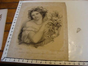 Vintage 1800's Print: Fruhling. Le Printemps. Spring verlag u druck v. f. silber - Picture 1 of 4