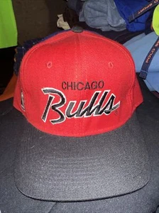 Sport Specialties The Pro Chicago Bulls Fitted Hat Cap Sz 7 3/8 NBA VTG  - Picture 1 of 5