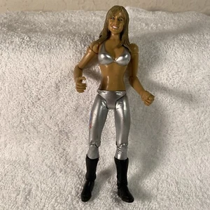 2008 WWE Adrenaline Series 31 6.5" Michelle McCool Wrestling Figure Mattel Rare - Picture 1 of 19