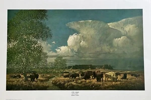 White Buffalo - Robert Summers - Signed & Numbered Ltd Ed Print - Picture 1 of 1