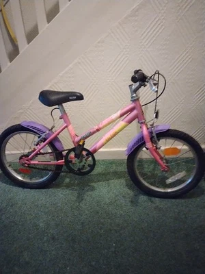 Bicicleta para niños Raleigh Kobo apta para niños Foto 1 de 4