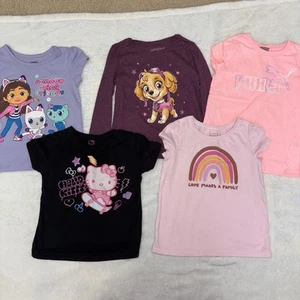 Girls Cute Girly Shirt Bundle Size 5T Hello kitty, Skye, Gabby - Picture 1 of 6