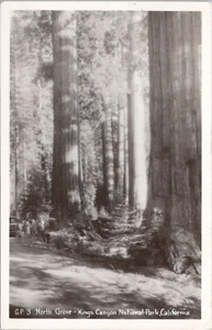RPPC Kings Canyon National Park California North Grove 1956 Natl. Matasellos de parque - Imagen 1 de 2