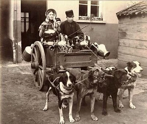 CARRO DE PERRO, HOLANDA/ROTTERDAM VISTA AÉREA - DOS FOTOS ORIGINALES APROX. 1890 ALBÚMINA - Imagen 1 de 3