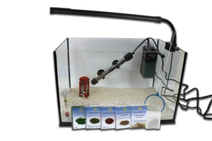 Triops Zuchtset Deluxe II - Urzeitkrebse Set mit Triopseier Futter und Zubehör - Bild 1 von 24
