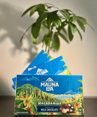 3 Boxes Mauna Loa Milk Chocolate Covered Macadamia Nuts Hawaii Exclusive - Image 1 of 3