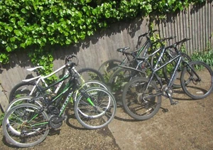 Job Lot of 6 x CARRERA Mountain Bikes - Subway, Abyss, Crossfire II - Picture 1 of 24