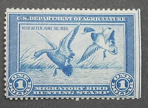 RW1 Federal Duck Hunting Stamp 1934 MNH OG  Migratory Bird Stamp Bend mark - Picture 1 of 2