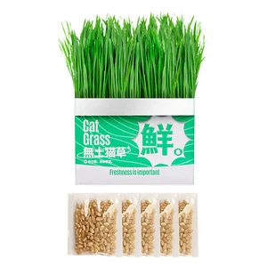 Cat Grass Planter Soilless Cats Grass Growing Pot Soilless Hydroponic Containers - Picture 1 of 10