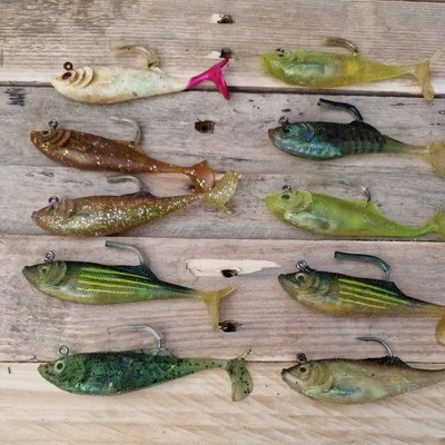 10 Señuelo Molix RT COLA ABATIBLE Cebo Suave Depredadores o similar Foto 1 de 4