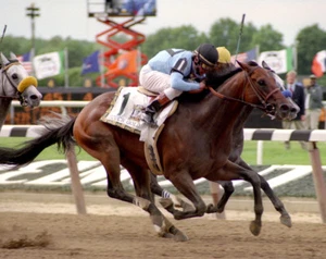 Touch Gold 1997 Belmont Stakes Photo 8x10 - Picture 1 of 1