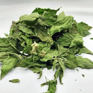 500 g Hierba Sueño Mexicano Calea Zacatechichi Orgánica Lúcida Sueño Hojas Secas - Imagen 1 de 7
