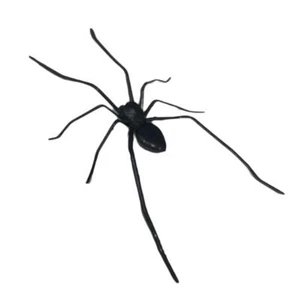 Spider Fridge Magnet 3D Realistic Fridge Magnet Decor Home/ Lifelike Desigš„UK - Picture 1 of 16