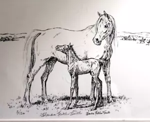 Horses Mare & Colt Sketch Drawing Art Print Numbered & Signed by Artist 9" x 7" - Picture 1 of 11