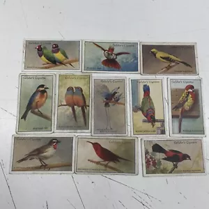 Lote de tarjetas de cigarrillo ORIGINAL VINTAGE Gallaher Belfast Zoo aves tropicales animales - Imagen 1 de 2