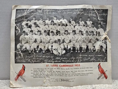 St Louis Cardinals MLB 1953 Team Photo 8 1/2 X 11 Budweiser Sponsored  - Image 1 of 4